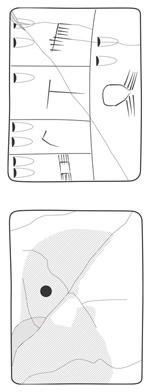 Lineart