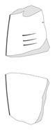 Lineart