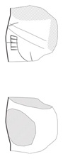 Lineart