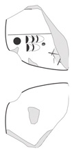 Lineart