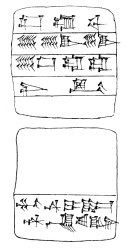 Artifact photograph