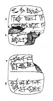 Artifact photograph