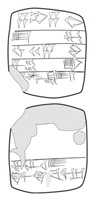 Lineart