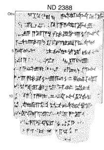 Artifact photograph