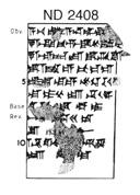 Artifact photograph