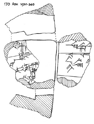 Lineart