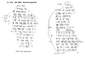 Artifact photograph