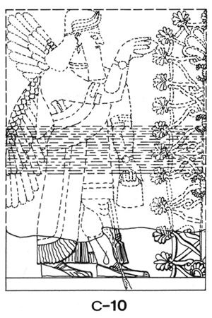 Lineart