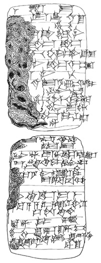 Artifact photograph