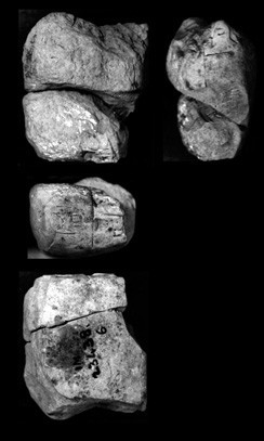 Artifact photograph