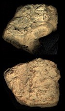 Artifact photograph
