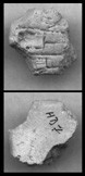 Artifact photograph