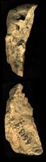 Artifact photograph