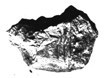 Artifact photograph