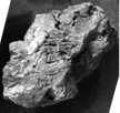 Artifact photograph