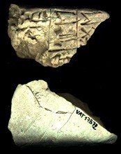 Artifact photograph