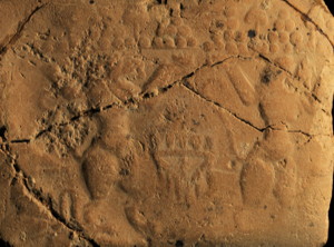 Photo (seal impression)