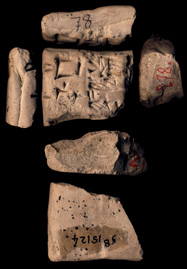Artifact photograph