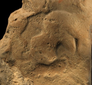 Photo (seal impression)