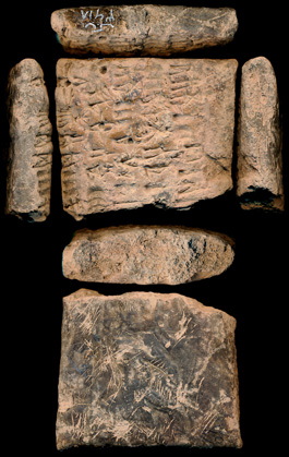 Artifact photograph