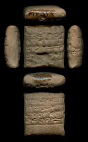 Artifact photograph