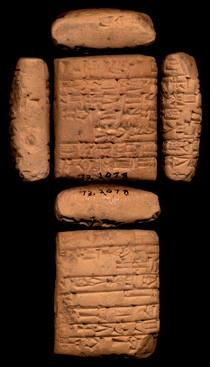 Artifact photograph