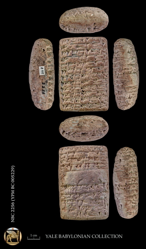 Artifact photograph