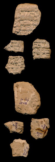 Artifact photograph