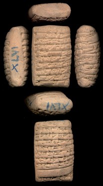 Artifact photograph