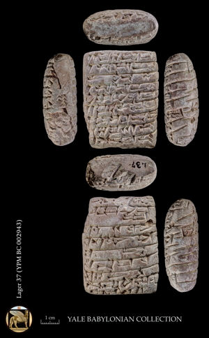 Artifact photograph