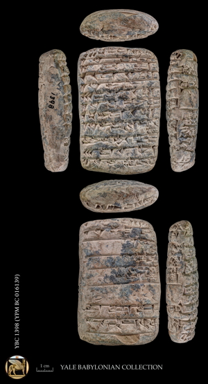 Artifact photograph