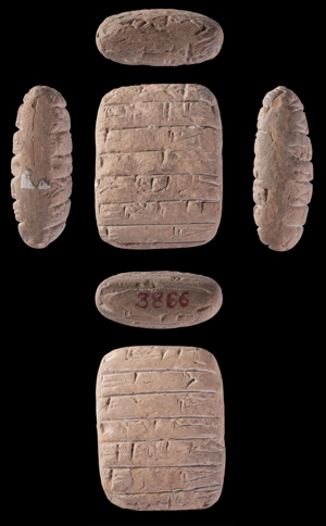 Artifact photograph