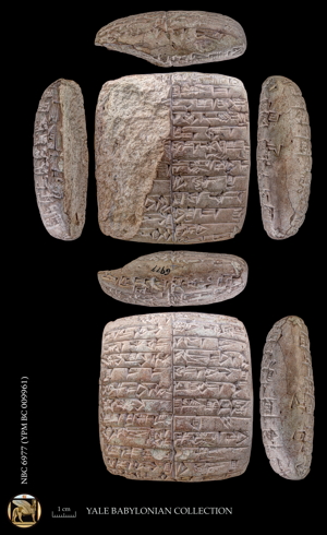 Artifact photograph