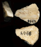 Artifact photograph