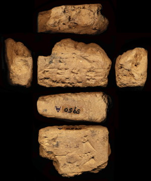 Artifact photograph