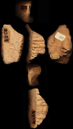 Artifact photograph