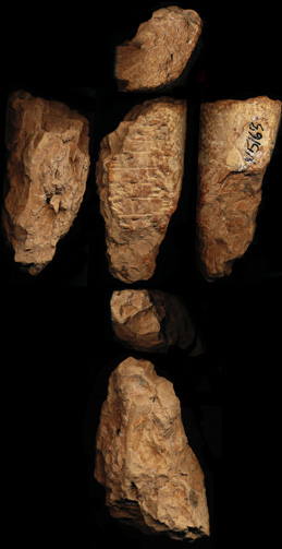 Artifact photograph