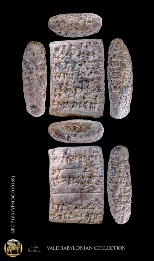 Artifact photograph