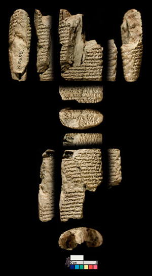 Artifact photograph