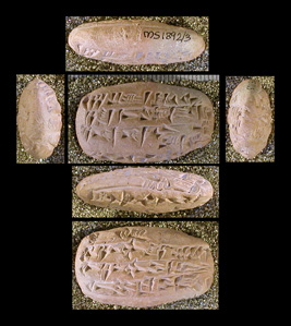 Artifact photograph