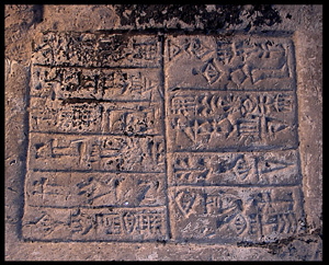 Photo (detail)