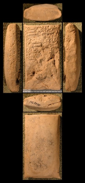 Photo (detail)