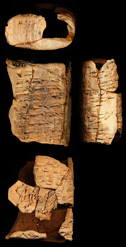 Photo (envelope)