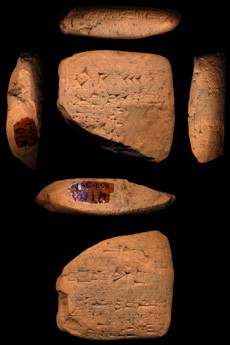Artifact photograph