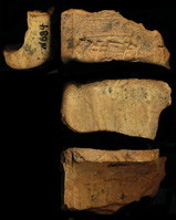 Photo (envelope)