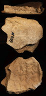 Photo (envelope)