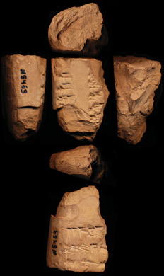 Artifact photograph