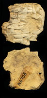 Photo (envelope)