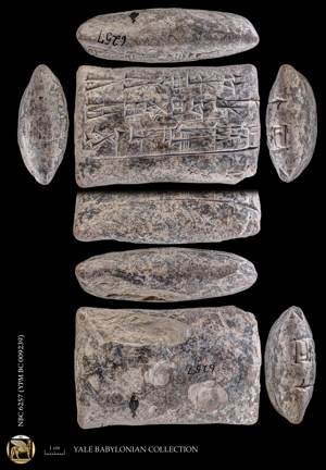 Artifact photograph