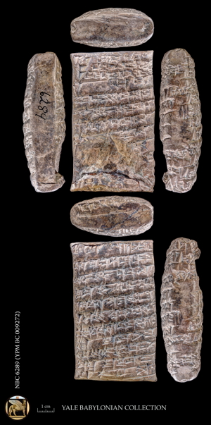 Artifact photograph